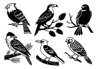 set of birds