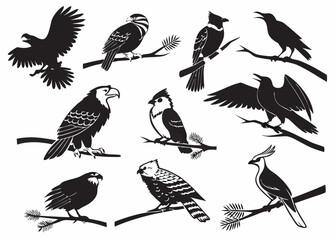 set of birds