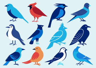set of birds