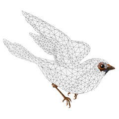 Small bird chick sparrow passer domesticus outline low-polygon vector illustration editable hand draw
