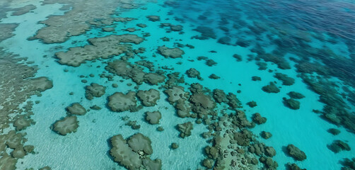 Obraz premium Aerial View of Coral Reef and Turquoise Ocean Water Texture