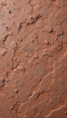 Obraz premium clay with cracks and rough texture. The color varies from light brown to reddish brown, creating an interesting natural pattern.