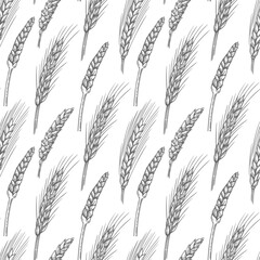 Ears of wheat seamless pattern. Sketch vector background with cereal plants