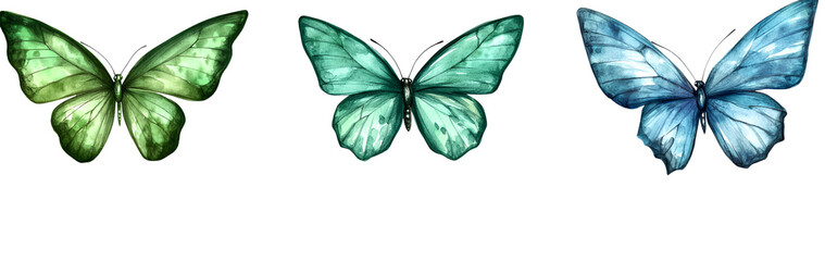 Fototapeta premium Three different green and blue colored butterflies flying, transparent background PNG