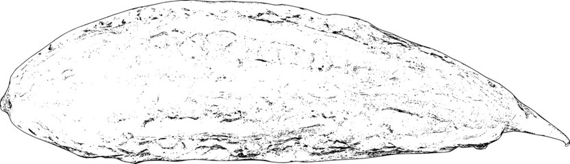 Fototapeta premium Bitter gourd line art
