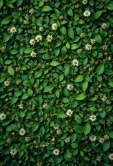 The background is a dense cover of elongated green leaves, among which small white and yellow flowers resembling daisies are evenly scattered. The stage radiates spring warmth and freshness.