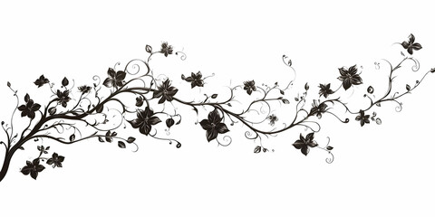 Elegant Black Floral Illustration