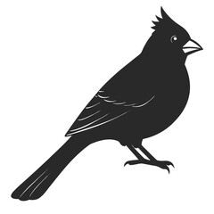 Cardinal silhouette vector illustration