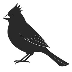 Cardinal silhouette vector illustration