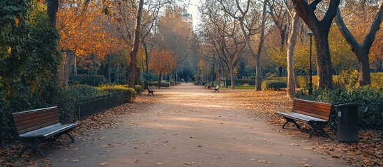 Autumn Park Path, Peaceful Stroll, Golden Leaves