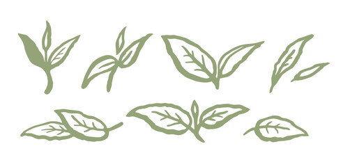 Green tea or abstract leaves set. Ink hand drawn line vector illustration on white background.