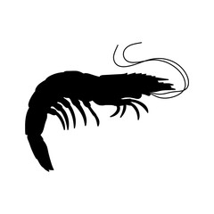 Simple shrimp silhouette vector illustration, shrimp fish silhouette vector illustration.