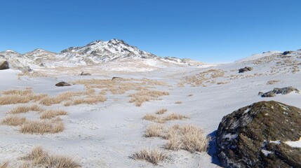 Expansive winter landscape mountain range nature scene snowy environment panoramic view