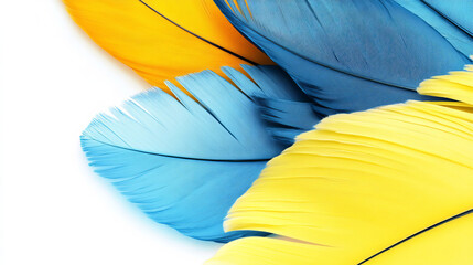 Naklejka premium Set of realistic colorful feathers: blue and yellow bird plume isolated on white background. Colored plumage 3d detailed view. Vector illustration