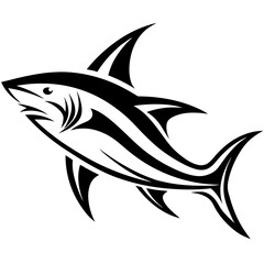 vector illustration of a shark