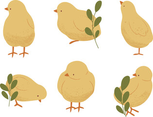 Adorable Chicks with Floral Accents. Springtime Chicks and Blossoms.