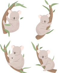 Cute koalas are sitting on a tree with leaves. A mother and a baby koala. © jenteva