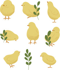 Adorable Chicks with Floral Accents. Springtime Chicks and Blossoms.