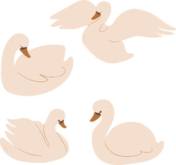 Elegant Soft Color Swans on a White Background