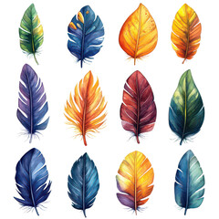 Fototapeta premium Colorful feathers png vibrant feathers png bird feathers png multi-colored feathers png decorative feathers png transparent background image