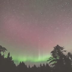 Naklejka premium night in the mountains