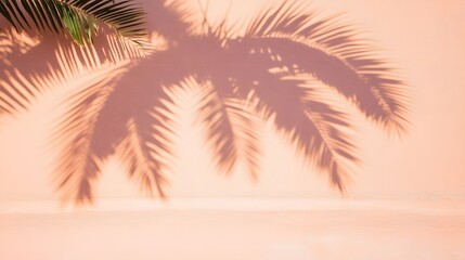 Fototapeta premium Peach Wall with Palm Leaf Shadows Summer Minimalist Background