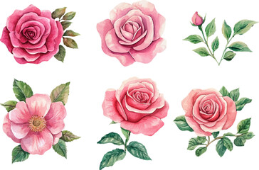 Naklejka premium seamless pattern with roses