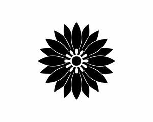 creative details Gaillardia Blanket Flower Icon vector illustration