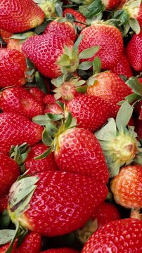 close-up of fresh strawberries with green leaves, vibrant red color and texture