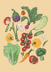 Vector vegetable poster of tomato, carry and potato. Hand-drawn garden harvest sketch. Tasty food illustration for restaurant and cafe interior, veggie market drawing print, fabric or background.