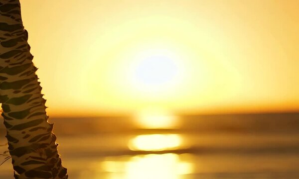 Swaying palm tree leaves against a golden bokeh of the sea. Sun sparkles on waves, illuminating a warm beach. Sun shining through palm tree. Tropical sunset background. Travel, vacation concept