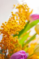 Fototapeta premium delicate spring bouquet, mimosa and tulips