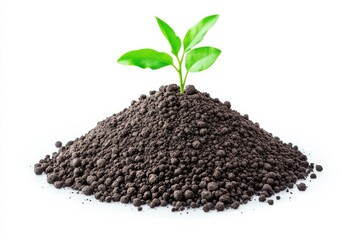 A tiny green sprout emerges from a mound of rich, dark soil in a vibrant display of growth and hope isolated on transparent background