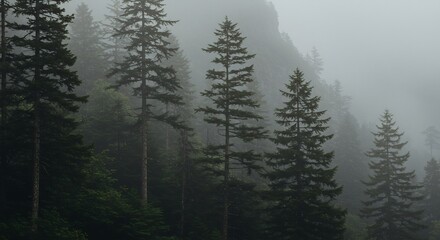 Misty Mountain Pines Dramatic Landscape Soft light filters through dense evergreen forest creating a serene moody atmosphere. AI Generated