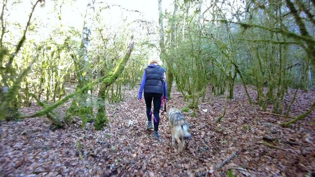 Woman walking dog in forest path multi-screen