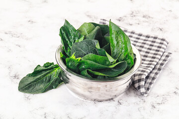 Ripe green spinach leaves heap