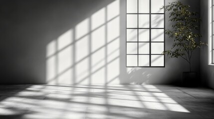 Natural Light Overlay and Window Shape in Modern Room Interior