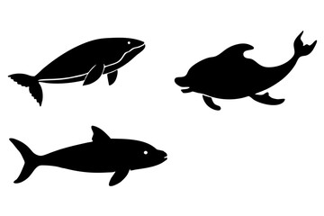 Sea Animals silhouette vector illustration