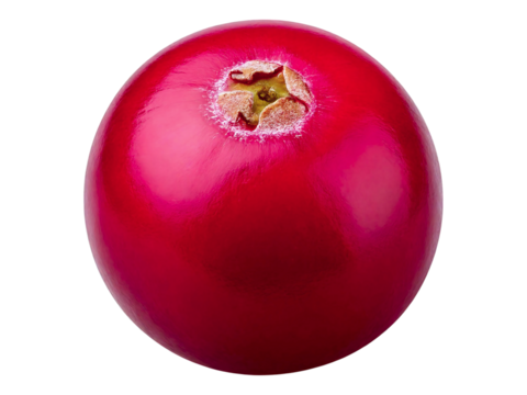 Vibrant single cranberry, close-up studio shot on white background.  Perfect for food blogs, packaging, and healthy eating campaigns.  High-resolution image ideal for print and digital use.