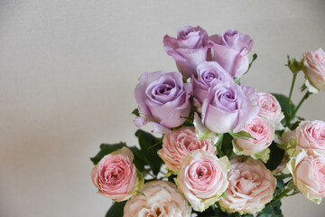 紫とピンクのばら