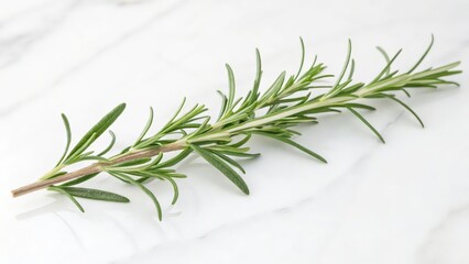 Fototapeta premium Fresh Rosemary Sprig with Delicate Flowers on White Background 
