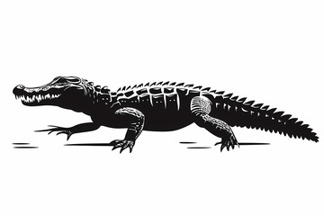 Fototapeta premium Crocodile silhouette on white background, vector design