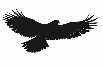 Obraz premium Hawk silhouette on white background vector design