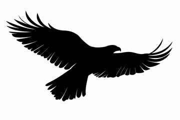 Obraz premium Hawk silhouette on white background vector design