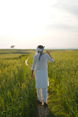 A Pakistani Indian farmer in traditional white clothing walks along a narrow path in a wheat field, carrying a pickaxe on his shoulder.