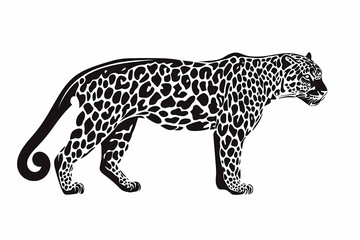 Jaguar silhouette on white background, vector design