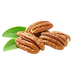 pecan, nut, isolated on png transparent background, full depth of field