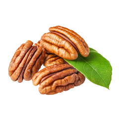 pecan, nut, isolated on png transparent background, full depth of field