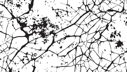 Cracked texture. Cracks texture for design. Abstract black cracks on white background. Structure of cracking.