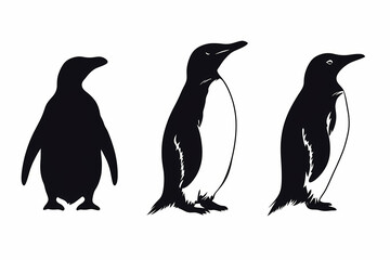 Naklejka premium Penguin silhouette on white background vector design